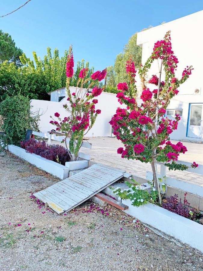 Apollonio Suites & Rooms Faliraki Rhodes Exterior foto